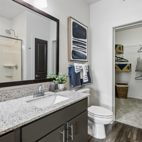 Model Bathroom